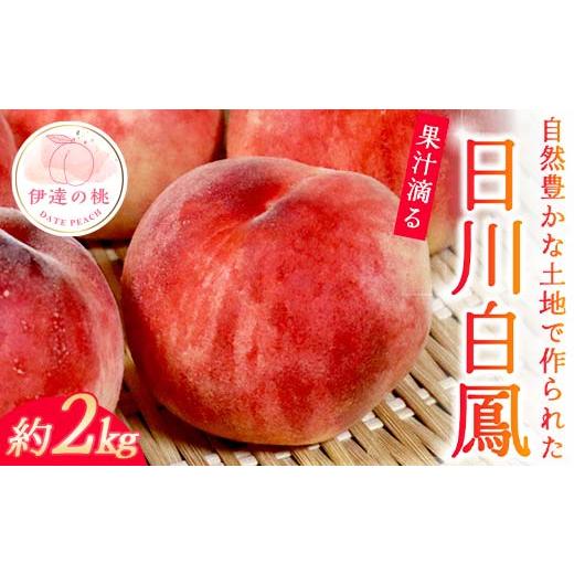 ふるさと納税 もも 福島県 伊達市 2026年出荷分先行予約 福島県産 日川白鳳 約2kg 玉数はおまかせ はこざきフルーツ 伊達の桃 桃 フルーツ 果物 もも モモ mo…