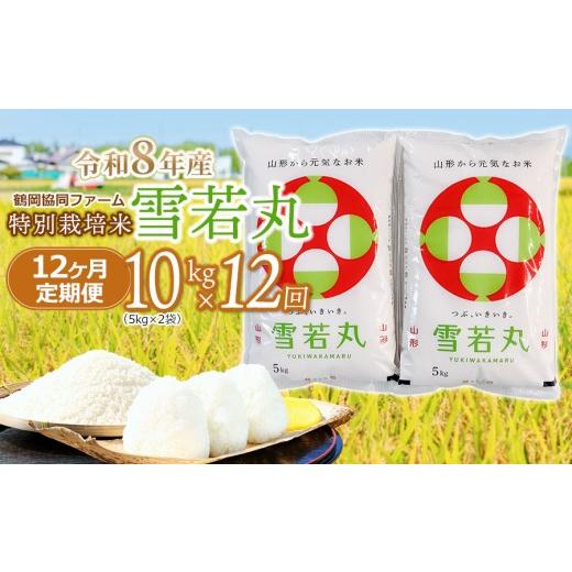 ふるさと納税 米 山形県 鶴岡市 令和8年産先行予約 特別栽培米雪若丸精米 10kg (5kg×2袋) ×12ヶ月 定期便 山形県鶴岡産 鶴岡協同ファーム