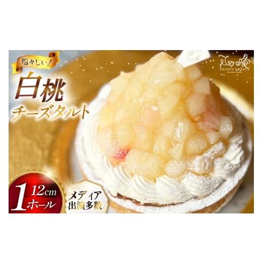 ふるさと納税 ケーキ・カステラ チーズケーキ 長崎県 平戸市 桃 ケーキ 白桃 チーズ タルト 1ホール 12cm 心優-Cotoyu Sweets- 長崎県 平戸市 hr42bjo490198 …