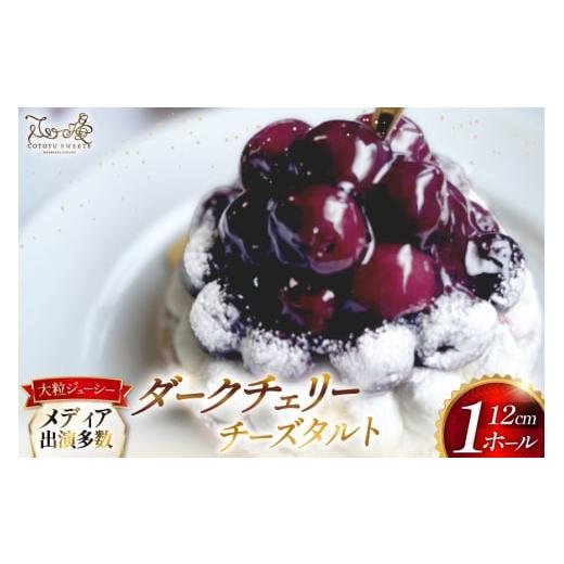 ふるさと納税 ケーキ・カステラ タルト 長崎県 平戸市 ケーキ タルト 贅沢 ダークチェリー タルト 1ホール 12cm 心優-Cotoyu Sweets- 長崎県 平戸市 hr42bjo49…