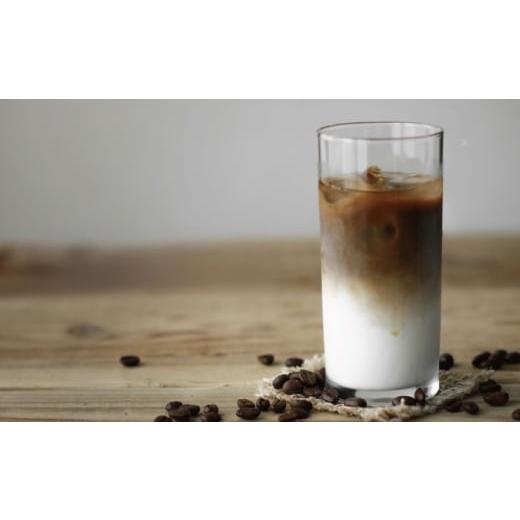 ふるさと納税 コーヒー 飲料 島根県 松江市  全12回定期便 カフェ・ラテベース 500ml×2本入り 島根県松江市／服部珈琲工房 ALBY012の画像