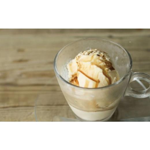 ふるさと納税 コーヒー 飲料 島根県 松江市  全12回定期便 カフェ・ラテベース 500ml×2本入り 島根県松江市／服部珈琲工房 ALBY012の画像