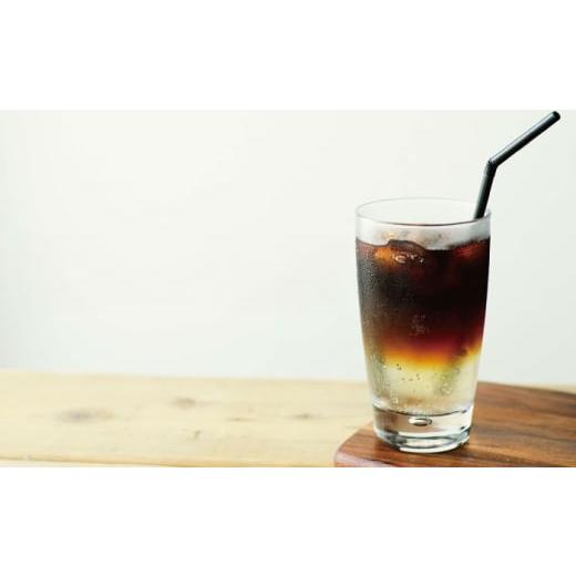 ふるさと納税 コーヒー 飲料 島根県 松江市  全12回定期便 カフェ・ラテベース 500ml×2本入り 島根県松江市／服部珈琲工房 ALBY012の画像