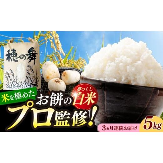 ふるさと納税 米 福岡県 築上町 3回定期便 令和7年度産 精米 夢つくし 5kg /築上町 アルク農業サービス合同会社 米 こめ 白米