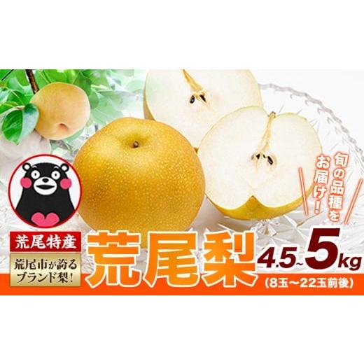 ふるさと納税 梨 熊本県 荒尾市 ひるおびで紹介されました 2026年先行予約 梨 荒尾梨 約4.5〜5kg(8〜22玉) なし フルーツ 果物 旬 [2026年8月下旬‐11月中…