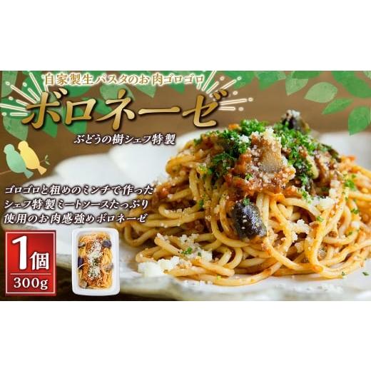 ふるさと納税 パスタ ソース 福岡県 岡垣町 ボロネーゼ ぶどうの樹 シェフ特製 選べるパスタ・グラタン1個 パスタ 生パスタ スパゲッティ 麺 冷凍 福岡県 岡…