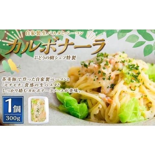 ふるさと納税 パスタ ソース 福岡県 岡垣町 カルボナーラ ぶどうの樹 シェフ特製 選べるパスタ・グラタン1個 パスタ 生パスタ スパゲッティ 麺 冷凍 福岡県 …