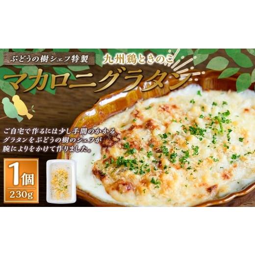 ふるさと納税 惣菜・レトルト 冷凍 福岡県 岡垣町 グラタン ぶどうの樹 シェフ特製 選べるパスタ・グラタン1個 マカロニグラタン マカロニ グラタン おかず …