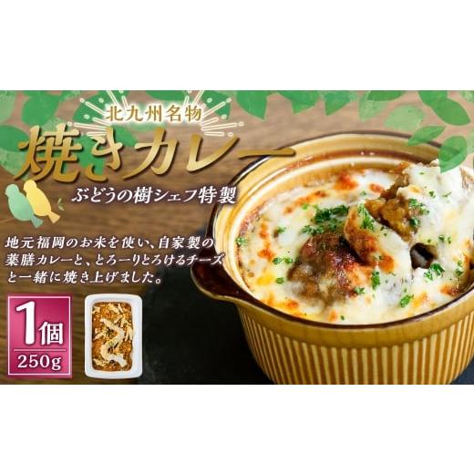 ふるさと納税 惣菜・レトルト 冷凍 福岡県 岡垣町 カレー ぶどうの樹 シェフ特製 選べるパスタ・グラタン1個 焼きカレー カレー カレーライス 冷凍カレー 薬…