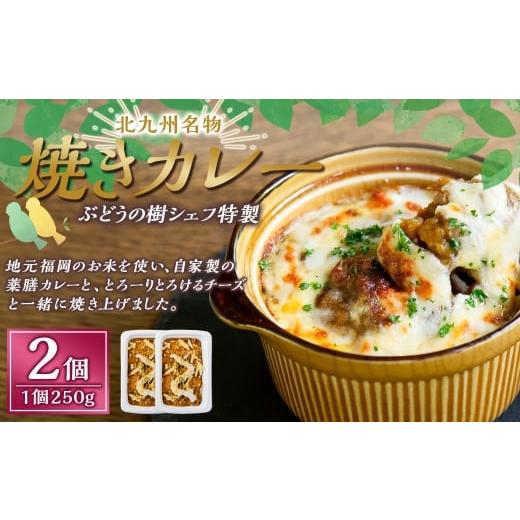 ふるさと納税 惣菜・レトルト 冷凍 福岡県 岡垣町 カレー ぶどうの樹シェフ特製 選べるパスタ・グラタン2個セット 焼きカレー カレー カレーライス 冷凍カレ…