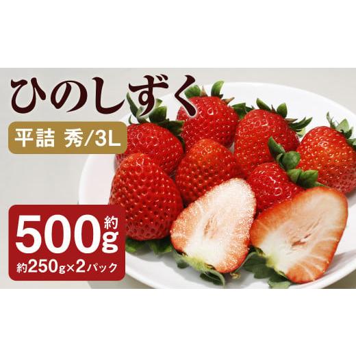 ふるさと納税 いちご 熊本県 菊池市 ひのしずく 平詰 秀/3L 1箱(約250g×2パック)[30日以内出荷予定(土日祝除く)] フルーツ 果物 くだもの いちご イチゴ…