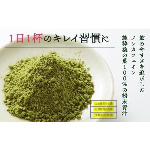 ふるさと納税 お茶類 鹿児島県 大崎町 桑抹茶セット（身体にやさしいオーガニック）_2