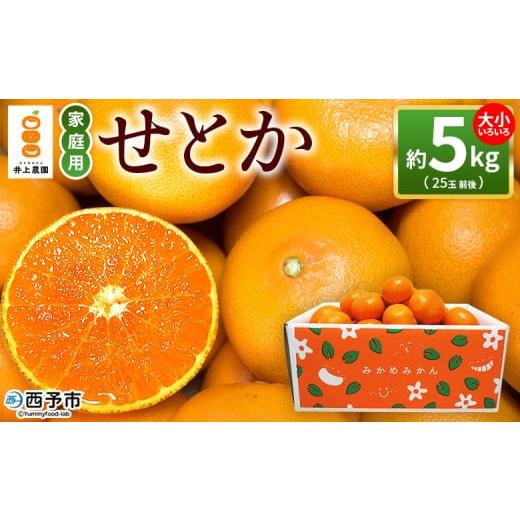 ふるさと納税 果物類 みかん 愛媛県 西予市 せとか 約5kg 家庭用 訳あり 不揃い 25玉前後 お試し 柑橘 みかん ミカン 蜜柑 果物 くだもの フルーツ セトカ オ…