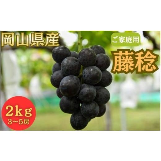 ふるさと納税 果物類 ぶどう 岡山県 真庭市 2026年先行予約 ご家庭用 岡山県産 藤稔 2kg以上 (3~5房) fsfm001-01