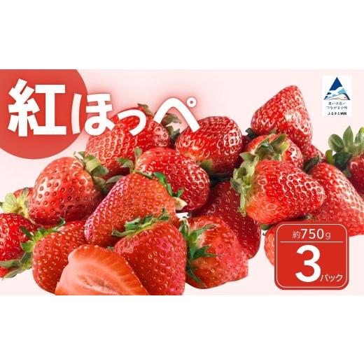 ふるさと納税 いちご 石川県 小松市 こまつイチゴ 紅ほっぺ 3パック(約750g) 苺 べにほっぺ 父の日 母の日 ギフト | 石川県 小松市 JAあぐり 3パック( 約75…