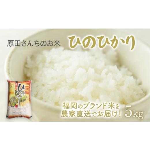 ふるさと納税 米 ヒノヒカリ 福岡県 田川市 「原田さんちのお米」ヒノヒカリ 5kg お取り寄せグルメ お取り寄せ 福岡 お土産 九州 ご当地グルメ 福岡土産 取り…