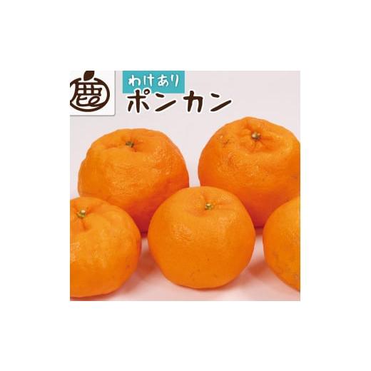 ふるさと納税 みかん・柑橘類 和歌山県 美浜町 1月より発送 家庭用 ポンカン10kg+250g(傷み補償分)