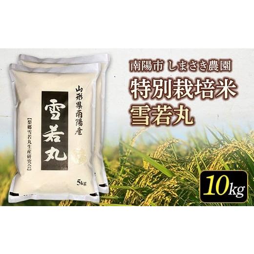 ふるさと納税 米 山形県 南陽市 米食味コンクール金賞受賞農園 令和7年産 特別栽培米 雪若丸 10kg (5kg×2袋) 『しまさき農園』 山形南陽産 米 白米 精米 ご…