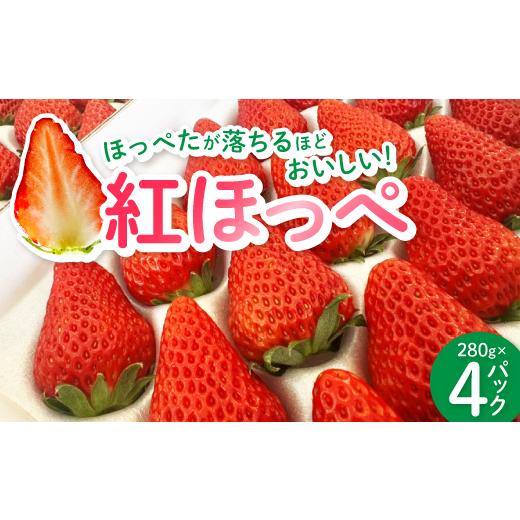 ふるさと納税 いちご 静岡県 掛川市 紅ほっぺ280g×4パック おいしい完熟いちご_いちご 苺 紅ほっぺ べにほっぺ イチゴ 甘い ストロベリー 果物 くだもの フ…