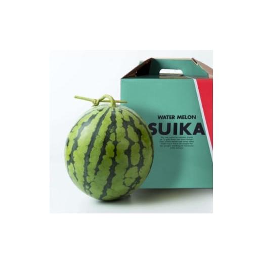 ふるさと納税 スイカ 北海道 富良野市 富良野産 鳳凰スイカ 秀品1玉(3kg) 1707617
