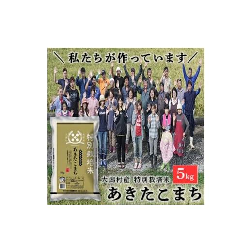 ふるさと納税 米 秋田県 大潟村 令和7年産 特別栽培米 あきたこまち 5kg 精米 秋田県大潟村 1708571