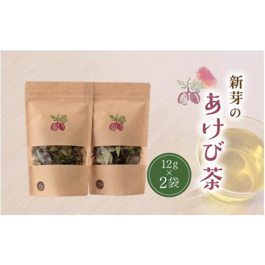 ふるさと納税 お茶類 岡山県 真庭市 新芽のあけび茶 12g×2 / アケビ 岡山県 真庭市 しげや shigeya008-01