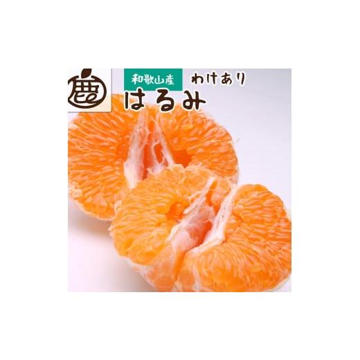 ふるさと納税 みかん・柑橘類 和歌山県 美浜町 2月より発送 家庭用 はるみ10kg+250g(傷み補償分)|わけあり・訳あり デコポンの姉妹品種・新食感春みかん …