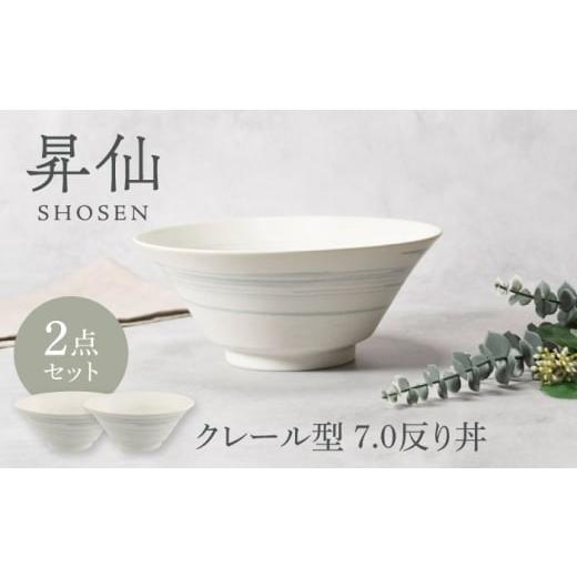 ふるさと納税 食器・グラス 茶碗 岐阜県 土岐市 美濃焼 昇仙 しょうせん クレール型 7.0反り丼 2点セット カネ定製陶