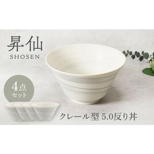 ふるさと納税 食器・グラス 茶碗 岐阜県 土岐市 美濃焼 昇仙 しょうせん クレール型 5.0反り丼 4点セット カネ定製陶