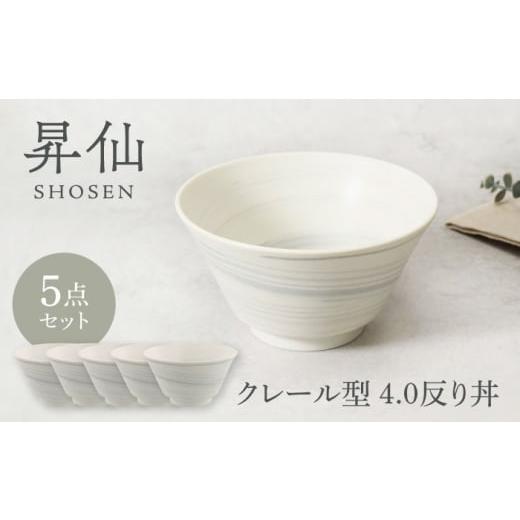 ふるさと納税 食器・グラス 茶碗 岐阜県 土岐市 美濃焼 昇仙 しょうせん クレール型 4.0反り丼 5点セット カネ定製陶