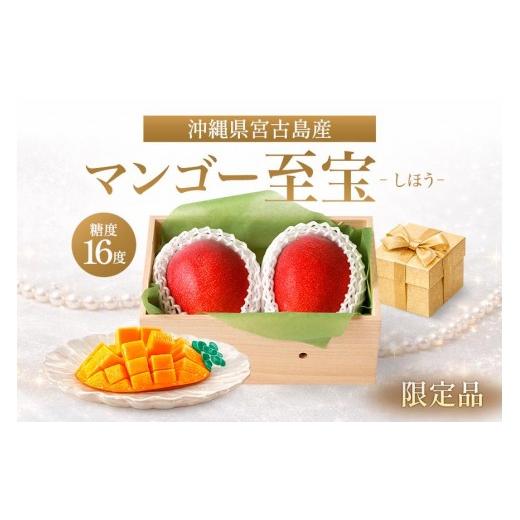 ふるさと納税 マンゴー 沖縄県 宮古島市 沖縄宮古島産 プレミアムマンゴー「マンゴー至宝(しほう)」(琉球マルシェ)