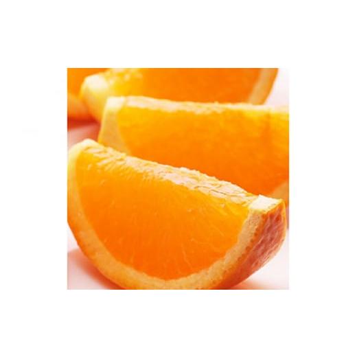 ふるさと納税 みかん・柑橘類 オレンジ 和歌山県 美浜町 2月より発送 厳選 清見オレンジ7.5kg+250g(傷み補償分) 光センサー食頃出荷 樹上完熟きよみオレン…