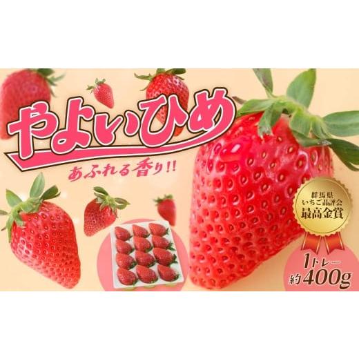 ふるさと納税 いちご 群馬県 前橋市 いちご やよいひめ 約400g 群馬県いちご品評会最高金賞受賞 | 感動体験 非日常 朝採れ やみつき高品質 たっぷり 贈答用 新…