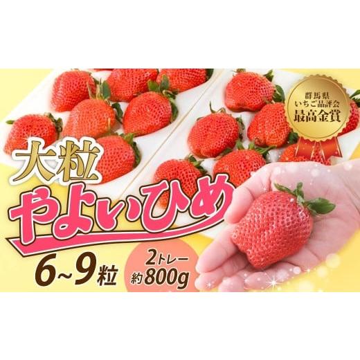ふるさと納税 いちご 群馬県 前橋市 大粒サイズ いちご やよいひめ 贅沢時間 約800g 群馬県いちご品評会最高金賞受賞 | 非日常 朝採れ やみつき高品質 たっぷ…