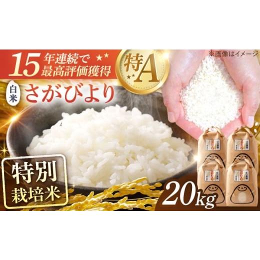ふるさと納税 米 さがびより 佐賀県 武雄市 15年連続最高評価特A 特別栽培米 さがびより 白米 20kg(5kg×4袋) 配送前精米/江口農園
