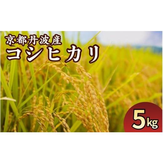 ふるさと納税 米 コシヒカリ 京都府 亀岡市 4月発送 期間限定 生活応援 京都丹波産 こしひかり 精米 5kg JA京都たわわ朝霧 白米 米 お米 こめ コメ ライス ご…