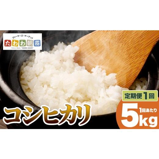 ふるさと納税 米 コシヒカリ 京都府 亀岡市 6月発送 生活応援 京都丹波産 こしひかり 精米 5kg JA京都たわわ朝霧 白米 米 お米 こめ コメ ライス ご飯 ごはん…