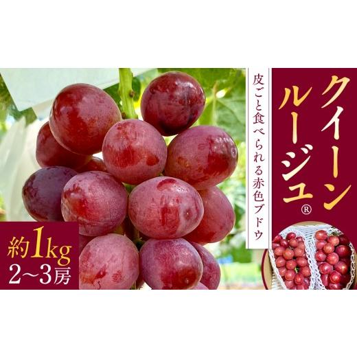ふるさと納税 ぶどう マスカット 長野県 立科町 クイーンルージュ(約1kg、2〜3房)
