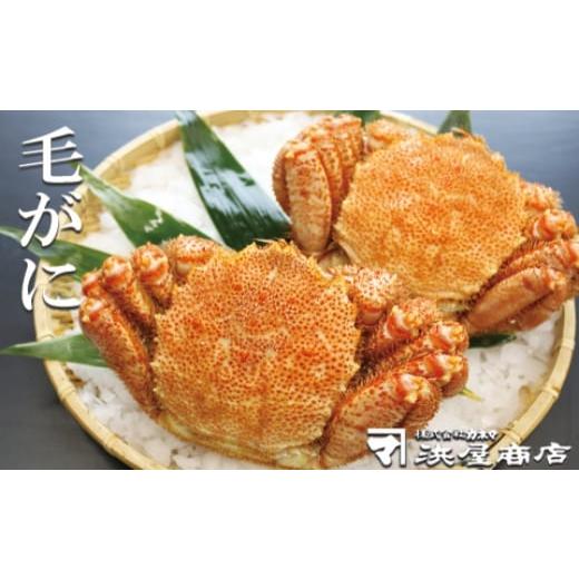 ふるさと納税 カニ 毛ガニ 北海道 根室市 F-32021 毛がに約450g×3尾