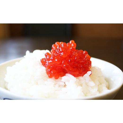 ふるさと納税 魚貝類 北海道 根室市 C-32033 醤油筋子(紅子)250g×6P(計1.5kg)