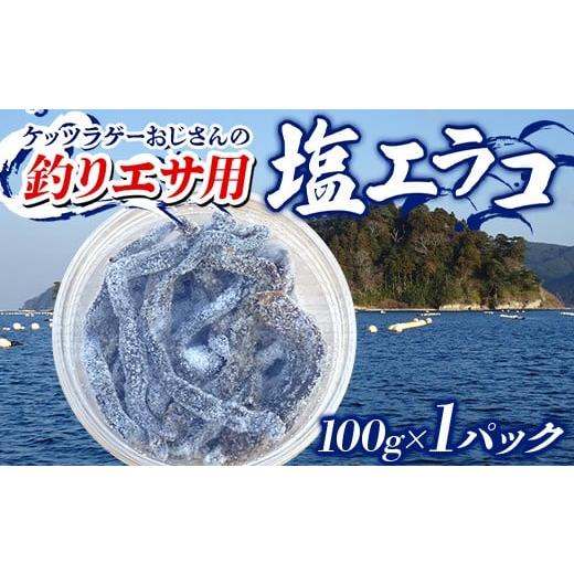 ふるさと納税 フィッシング 岩手県 山田町 ケッツラゲーおじさんの 釣りエサ用塩エラコ100g×1パック 釣り用エサ 環形動物 三陸山田 山田町