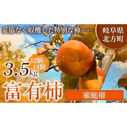 ふるさと納税 果物類 柿 岐阜県 北方町 家庭用 先行予約 令和8年11月中旬順次発送 富有柿 ( 12 ~ 14個 / 3.5kg ) 1箱 | お得にたっぷり楽しむ 甘みと食感を…