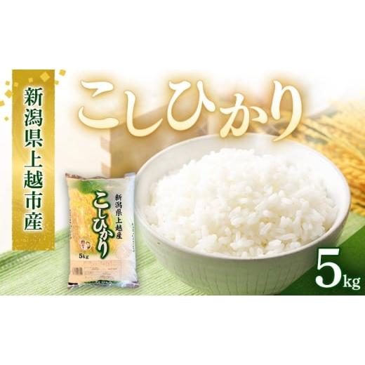 ふるさと納税 米 コシヒカリ 新潟県 上越市 新潟県上越市産 コシヒカリ 5kg 5キロ こしひかり お米 精米 ご飯