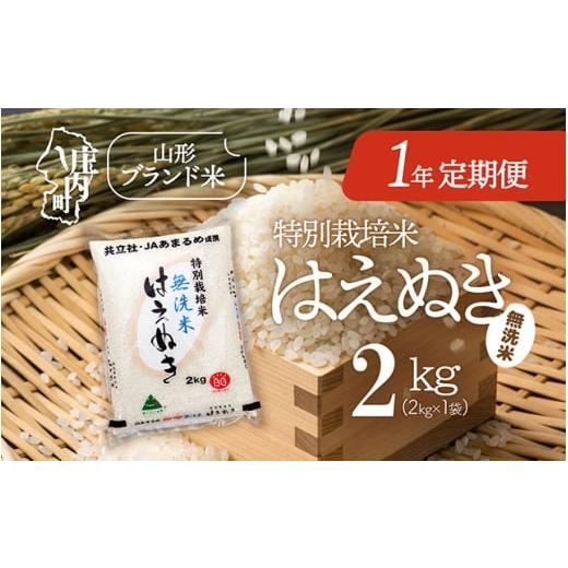 ふるさと納税 無洗米 山形県 庄内町 4月開始 庄内米1年定期便 特別栽培米はえぬき無洗米 2kg(入金期限:2026.3.25)