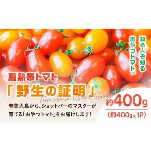 ふるさと納税 トマト ミニトマト 鹿児島県 奄美市 2026年先行予約 亜熱帯トマト「野生の証明」約400g(約400g×1P) A021-002-02
