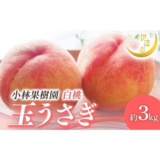 ふるさと納税 もも 福島県 伊達市 2026年出荷分先行予約 <冷蔵配送>福島県産 玉うさぎ 約3kg (8〜12玉) 小林果樹園 伊達の桃 桃 フルーツ 果物 もも モ…