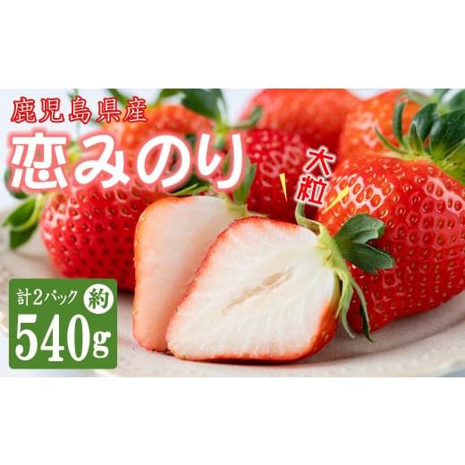 ふるさと納税 いちご 鹿児島県 志布志市 数量限定 鹿児島県産朝採れイチゴ「恋みのり」約540g(約270g×2パック) いちご イチゴ 苺 果物 フルーツ スイーツ デ…