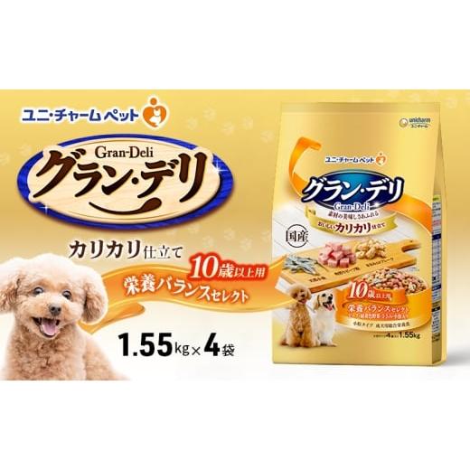 ふるさと納税 雑貨・日用品 兵庫県 伊丹市 グラン・デリ カリカリ仕立て 10歳以上用 栄養バランスセレクト 1.55kg×4袋 ペットフード ドッグフード 犬のごはん…
