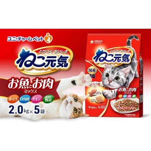 ふるさと納税 雑貨・日用品 兵庫県 伊丹市 ねこ元気 お魚とお肉ミックス まぐろ・白身魚・チキン・緑黄色野菜入 2.0kg×5袋 ペットフード キャットフード 猫の…