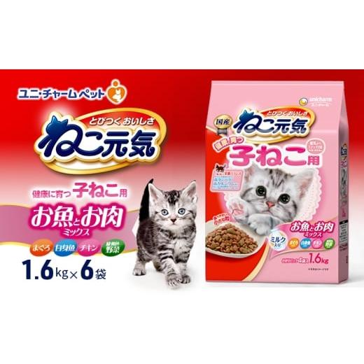ふるさと納税 雑貨・日用品 兵庫県 伊丹市 ねこ元気 健康に育つ子ねこ用 お魚とお肉ミックス 1.6kg×6袋 ペットフード キャットフード 猫のごはん 猫用フード …